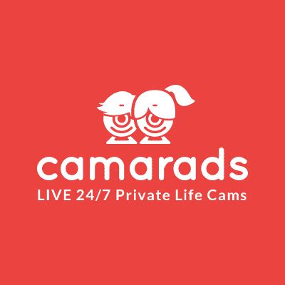 voieur house|Camarads • Watch the private life of other people live